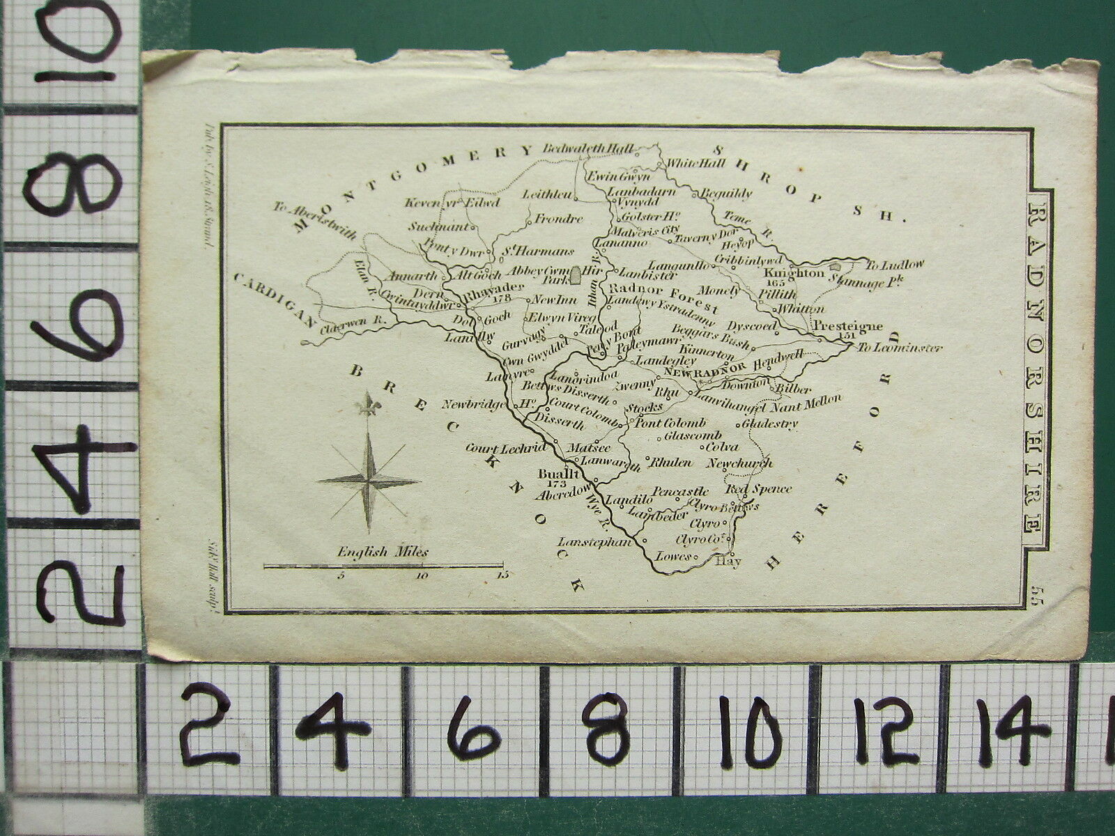 C1833 Georgian Map ~ Radnorshire ~ New Radnor Buallt Whitehall